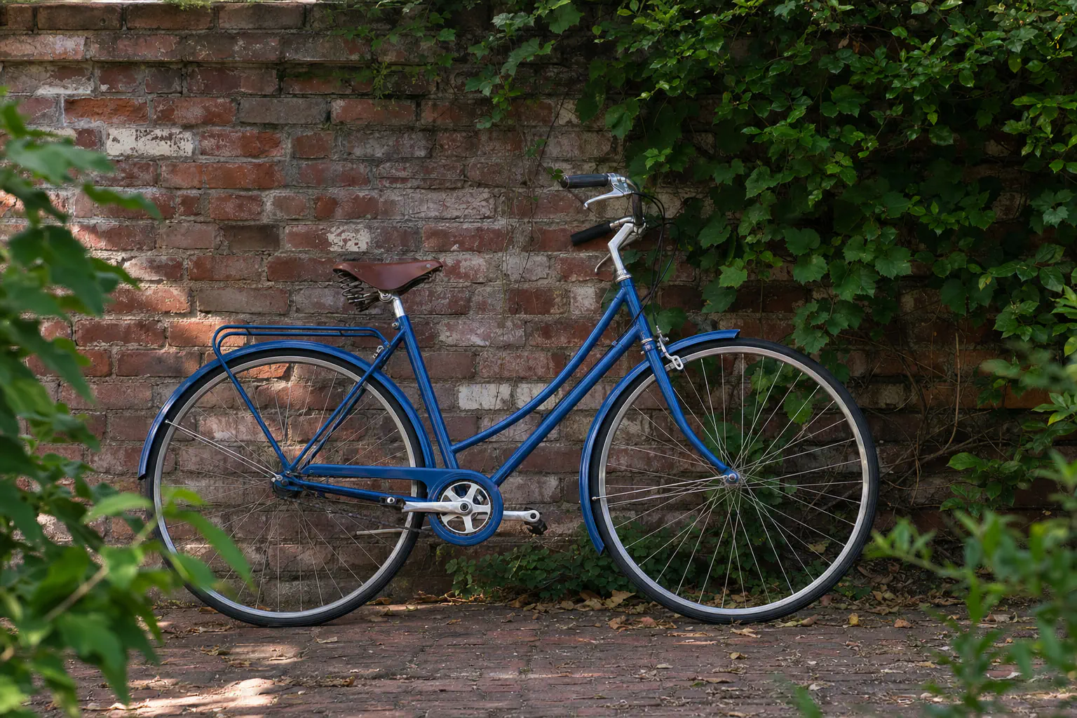 Blue bicycle beside a textured brick wall and green foliage, optimized as WebP