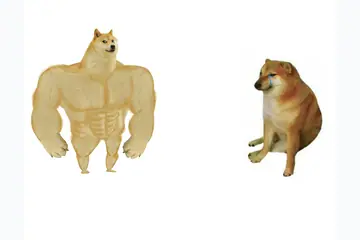 Buff Doge vs Cheems blank meme template