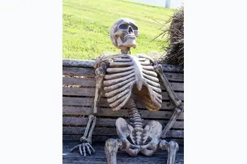 Waiting Skeleton blank meme template
