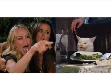 Woman Yelling at Cat blank meme template